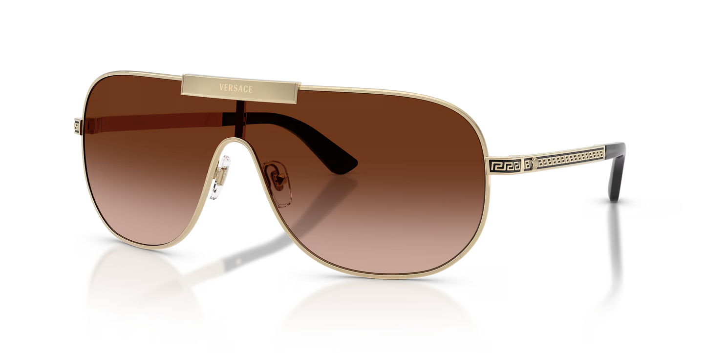 VE 2293S