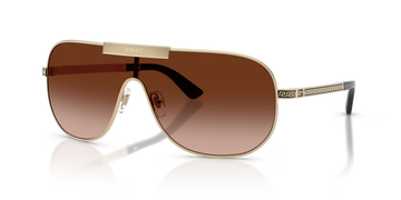 BROWN GRADIENT LENSES WITH SHINY GOLD FRAME
