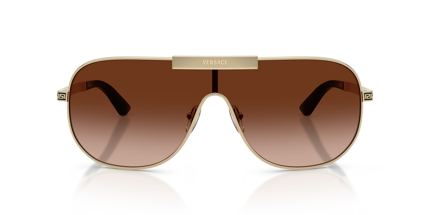VE 2293S