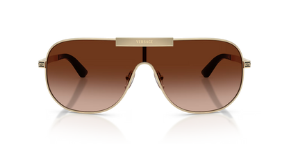 VE 2293S
