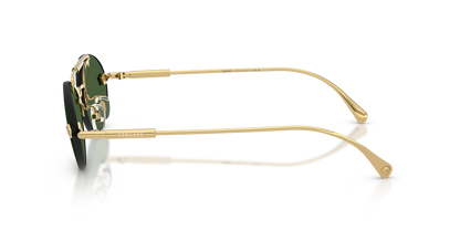 VE 2295S