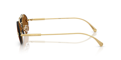 VE 2295S