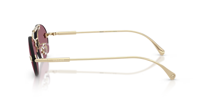 VE 2295S