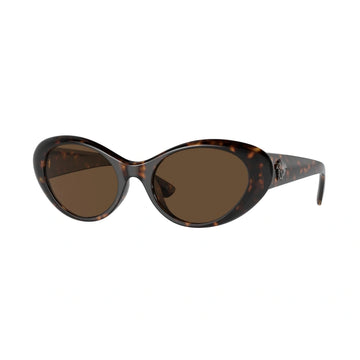 SOLID BROWN LENSES WITH HAVANA FRAME