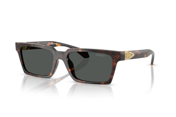 SOLID GRAY LENSES WITH HAVANA FRAME