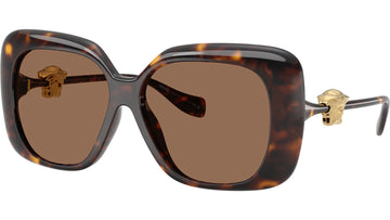SOLID BROWN LENSES WITH HAVANA FRAME