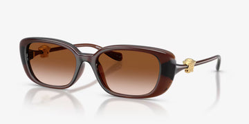 BROWN GRADIENT LENSES WITH TRANSPARENT BROWN FRAME