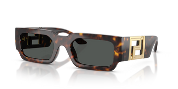 SOLID GRAY LENSES WITH DARK HAVANA FRAME