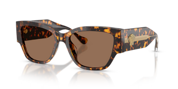 SOLID BROWN LENSES WITH HAVANA FRAME