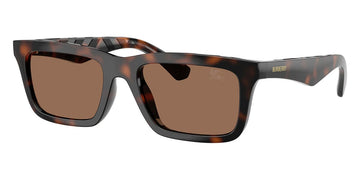 DARK BROWN LENSES WITH DARK HAVANA FRAME