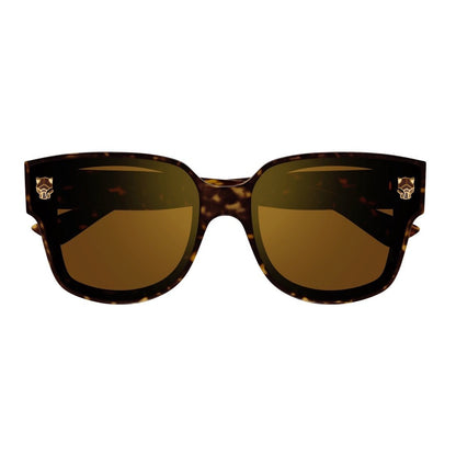 Cartier CT0357S Geometric Sunglasses in Brown/Havana, angle view