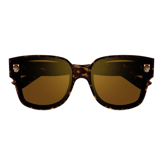 Cartier CT0357S Geometric Sunglasses in Brown/Havana, angle view