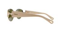 Chloe CH0260S Butterfly Sunglasses in Green Gold Ivory, angle view