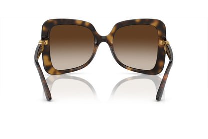 Dolce & Gabbana DG6193/S Butterfly Sunglasses in Gradient Dark Brown / Dark Tortoise (Havana), angle view