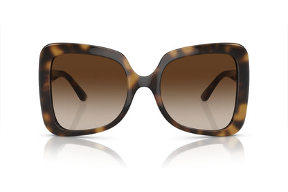Dolce & Gabbana DG6193/S Butterfly Sunglasses in Gradient Dark Brown / Dark Tortoise (Havana), back view