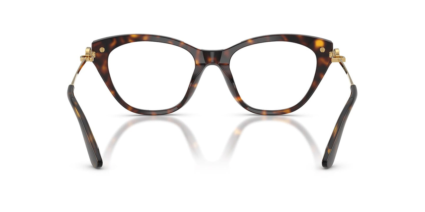 Dolce & Gabbana DG3428 Butterfly Eyeglasses in Havana, detail view