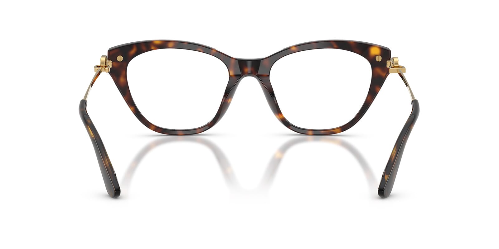Dolce & Gabbana DG3428 Butterfly Eyeglasses in Havana, detail view