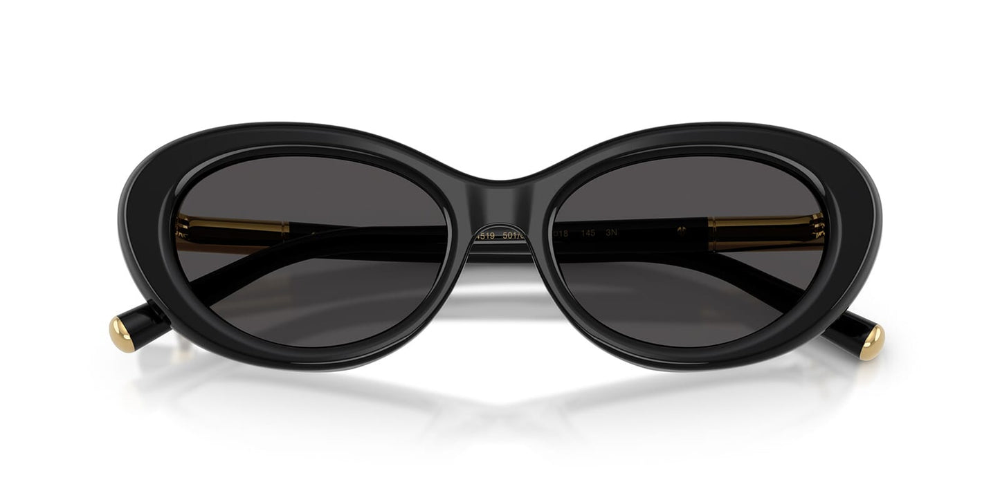 Dolce & Gabbana DG4519 Cat Eye Sunglasses in Dark Grey Black, back view