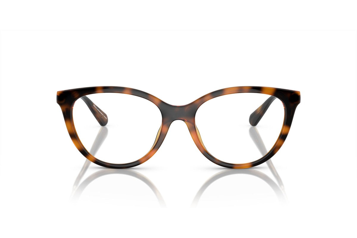 Emporio Armani EA4213U/S Cat Eye Sunglasses in Glossy Havana Tortoise, detail view