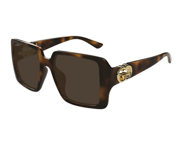 BROWN / TORTOISE