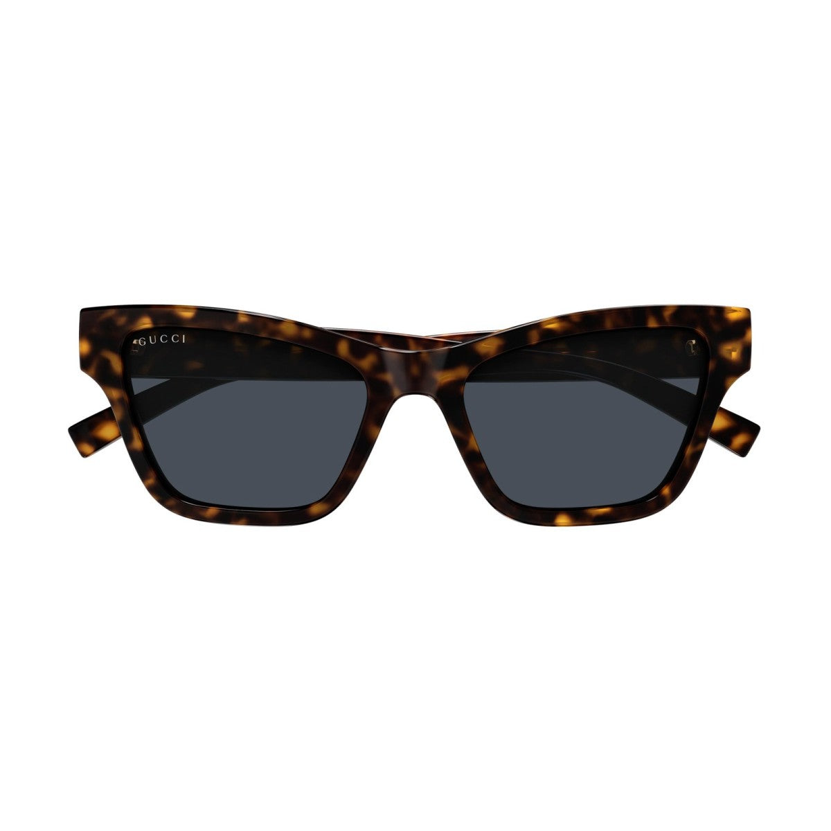 Gucci GG1982S Cat Eye Sunglasses in Blue / Brown-Havana, side view