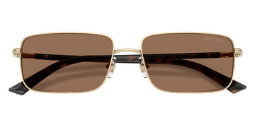 DARK BROWN / PALE GOLD