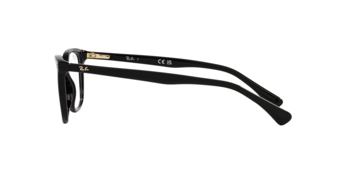 Ray-Ban RX5420I Square Eyeglasses in Clear / Black, back view