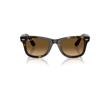 BROWN GRADIENT POLARIZED / HAVANA