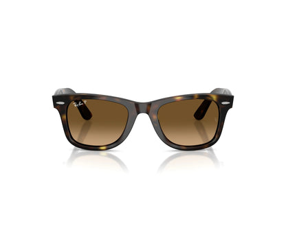 Ray-Ban RB4340 Wayfarer Sunglasses in Brown Gradient Polarized / Havana, front view