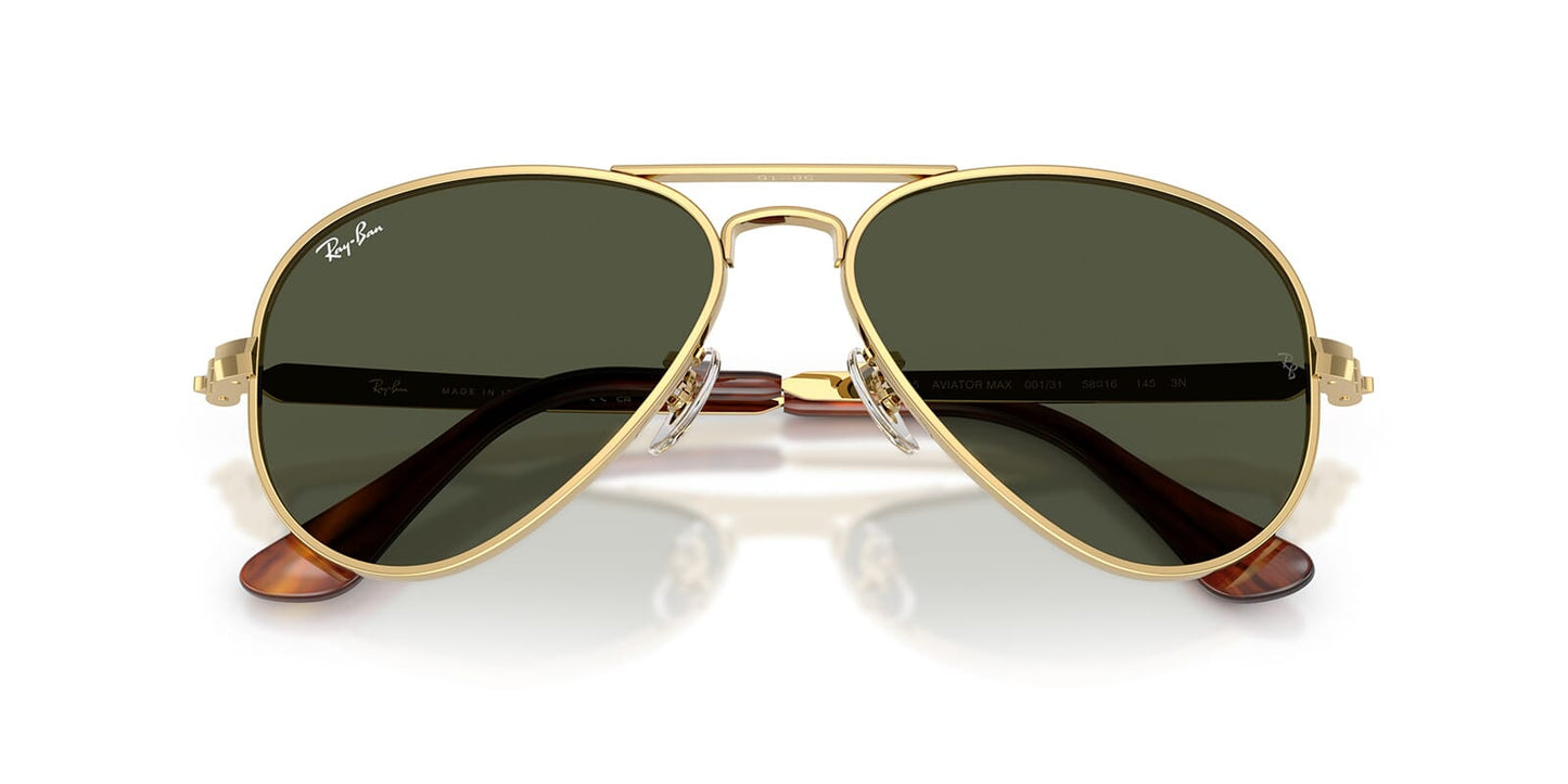 Ray-Ban RB3925 Aviator Sunglasses in Green / Arista Gold, back view