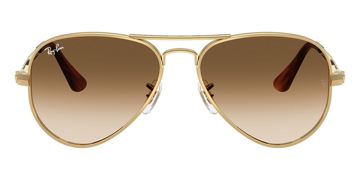Ray-Ban RB3925 Aviator Sunglasses in Gradient Brown / Arista Gold, side view