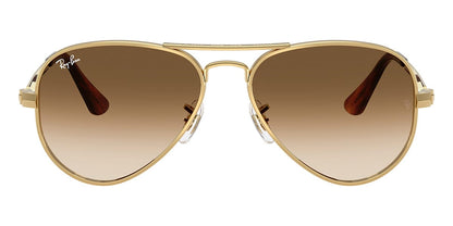 Ray-Ban RB3925 Aviator Sunglasses in Gradient Brown / Arista Gold, side view