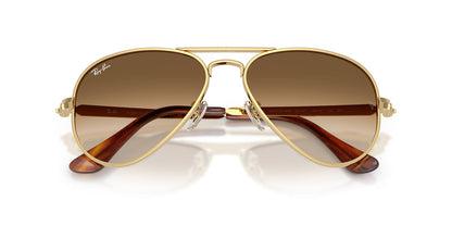 Ray-Ban RB3925 Aviator Sunglasses in Gradient Brown / Arista Gold, back view