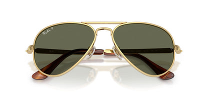Ray-Ban RB3925 Aviator Sunglasses in Green Polarised / Arista Gold, back view