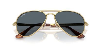 Ray-Ban RB3925 Aviator Sunglasses in Blue / Arista Gold, back view