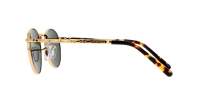 Ray-Ban RB3637 Round Sunglasses in G-15 Green / Legend Gold, angle view