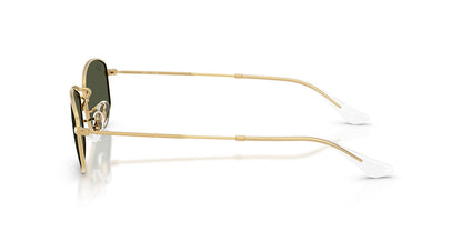 Ray-Ban RB3832 Geometric Sunglasses in Green / Arista Gold, angle view