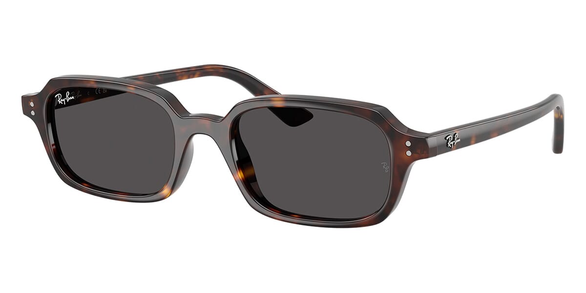 Ray-Ban RB4455 Rectangle Sunglasses in Dark Grey / Havana, front view