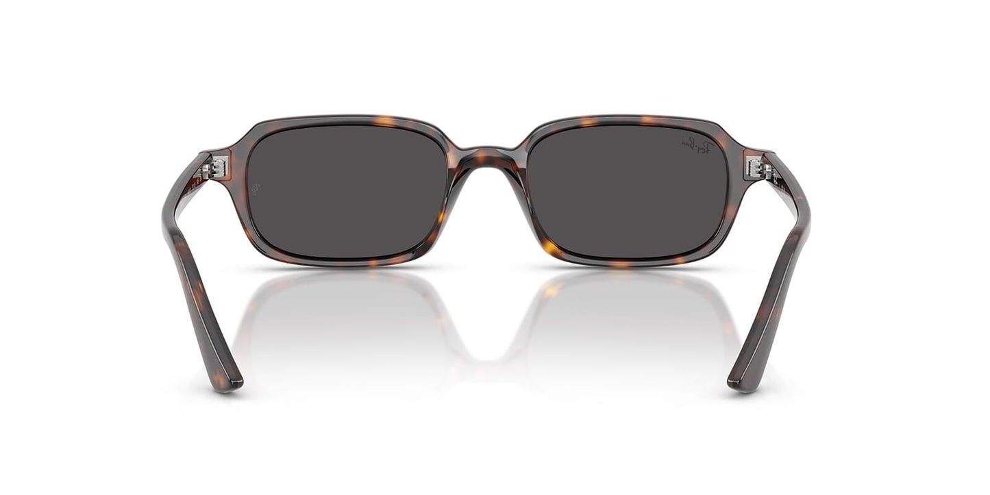 Ray-Ban RB4455 Rectangle Sunglasses in Dark Grey / Havana, detail view