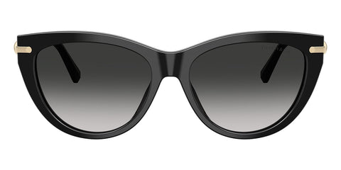 Tiffany & Co. TF4253 Cat Eye Sunglasses in Grey Gradient / Shiny Black, side view