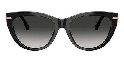 Tiffany & Co. TF4253 Cat Eye Sunglasses in Grey Gradient / Shiny Black, side view