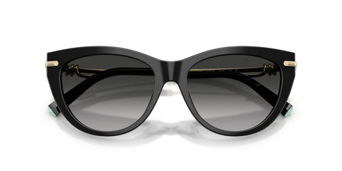 Tiffany & Co. TF4253 Cat Eye Sunglasses in Grey Gradient / Shiny Black, detail view