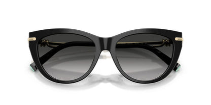 Tiffany & Co. TF4253 Cat Eye Sunglasses in Grey Gradient / Shiny Black, detail view