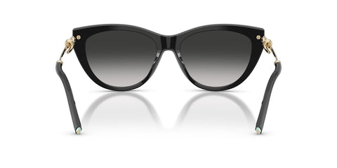 Tiffany & Co. TF4253 Cat Eye Sunglasses in Grey Gradient / Shiny Black, back view