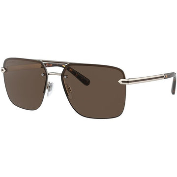 BROWN LENSES WITH GOLD FRAME