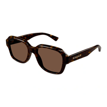 BROWN LENSES WITH BROWN FRAME