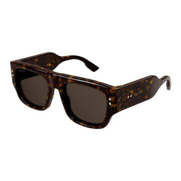 SOLID BROWN LENSES WITH BROWN TORTOISE FRAME
