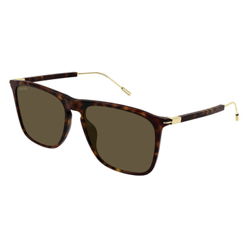 BROWN LENSES WITH BROWN TORTOIS FRAME