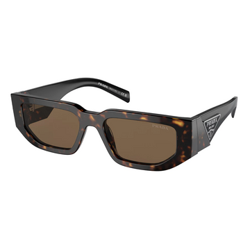 BROWN SOLID LENSES WITH DARK BROWN FRAME