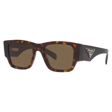 SOLID BROWN LENSES WITH BROWN TORTOISE FRAME